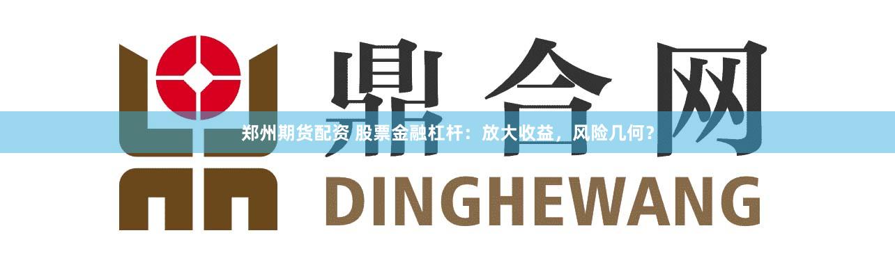 郑州期货配资 股票金融杠杆：放大收益，风险几何？