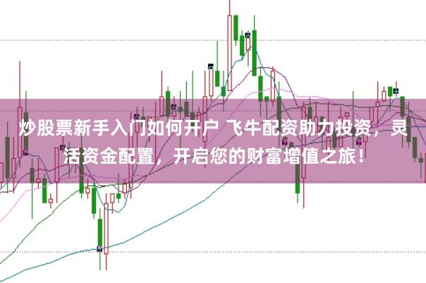 炒股票新手入门如何开户 飞牛配资助力投资，灵活资金配置，开启您的财富增值之旅！