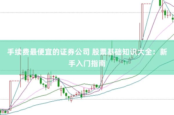 手续费最便宜的证券公司 股票基础知识大全：新手入门指南