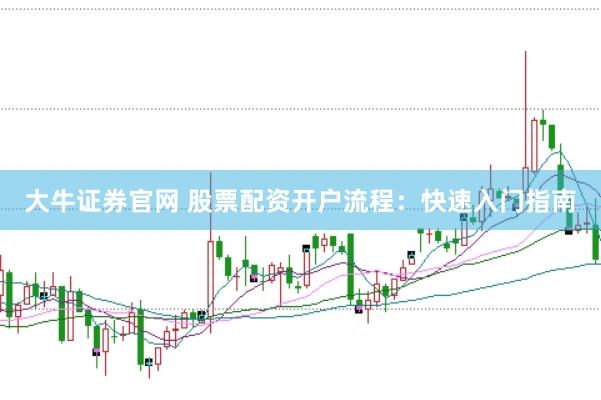 大牛证券官网 股票配资开户流程：快速入门指南